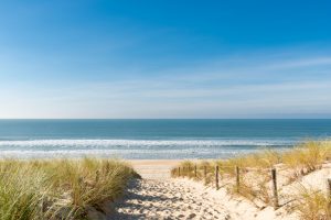 Tips for Staying Safe at the Beach this Summer