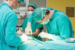 What are the common cases of medical malpractice?